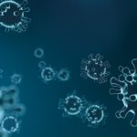 Langefestivalen 2020